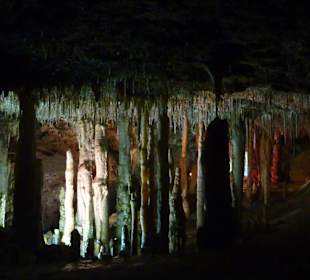 Hams Höhlen Porto Cristo