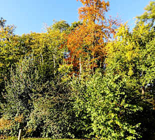 Herbstspaziergang durch den Schlosspark