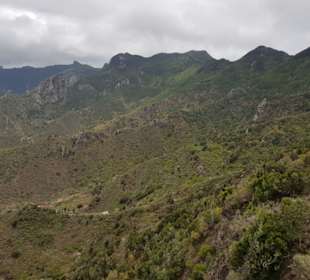 Fahrt durch das Anaga Gebirge