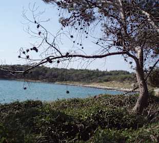 Kap Kamenjak
