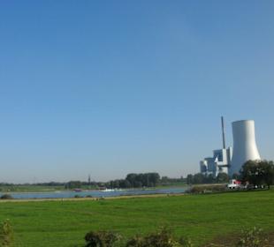 In den Rheinwiesen am Fährübergang
