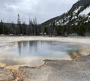 Yellowstone Nationalpark