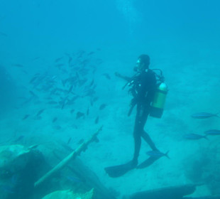 Fütterung der Fische