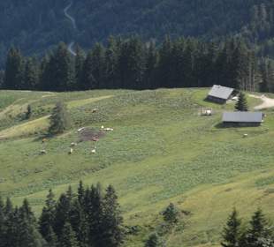 Rossfeld Panorama Straße