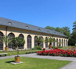 Pałac i ogród w Wilanowie