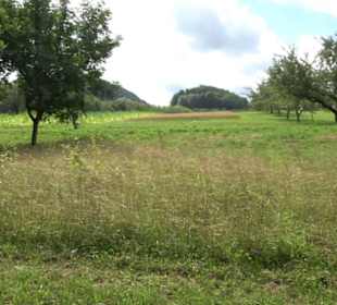 Hochgehnießen - Premiumspazierwanderweg