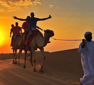 Sunset Camel Riding 