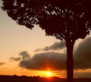 Sonnenuntergang in Plattling