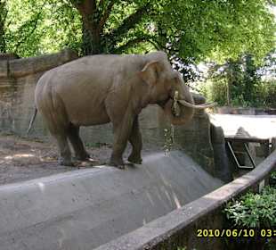 Tierpark Hagenbeck