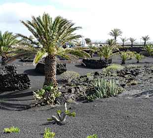 Fundacion Cesar Manrique