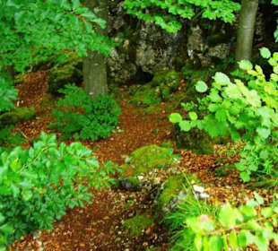 Die Oswaldhöhle 60 Mtr. Länge