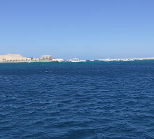 Delfin Tour Hurghada