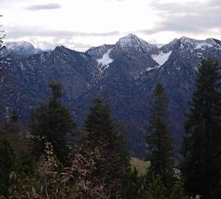 RauschbergImpressionen