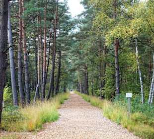 Eindrücke aus dem Großen und Weißen Moor