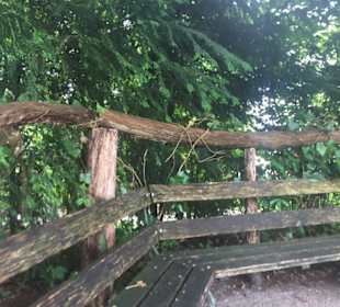 Sitzgelegenheit bei den Rosen