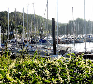 Impressionen aus dem Grohner Yachthafen