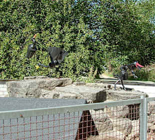 Freizeitpark