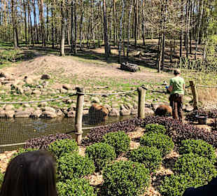 Wildpark-MV 