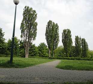 Park