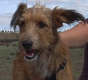 Persönlicher Besuch im Tierheim