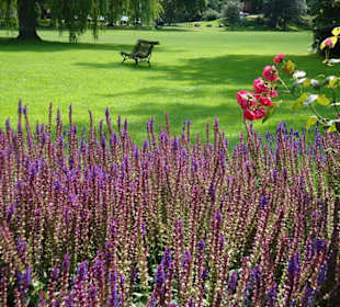 Piękny park w Ronneby