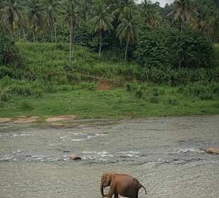 Ranga Tours