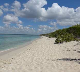 Strand auf der Isla Catalina