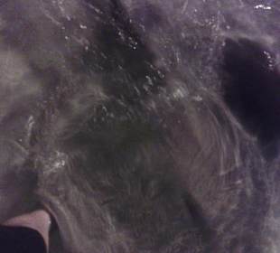 Rochenfütterung Sun Island