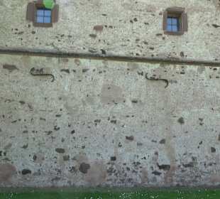 Kloster Maria Reuthin Wildberg