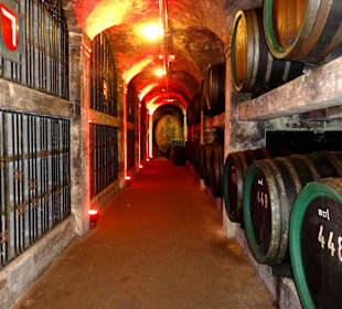 Im Fasslager des Bremer Ratskeller