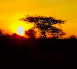 Sonnenuntergang Tsavo West