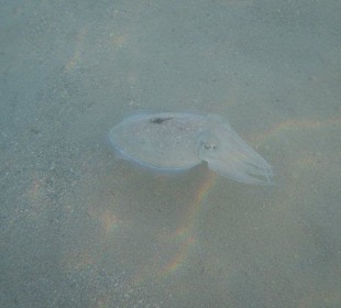 Alle Bilder an einem Tag!