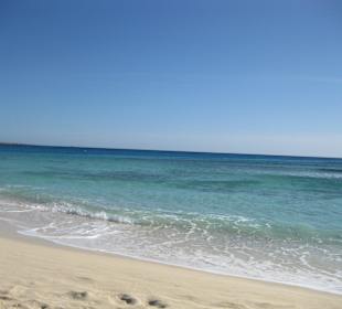 Schnorcheln Giftun Islands