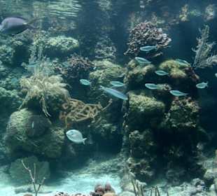 Natur- und Erlebnispark Xcaret