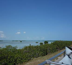 Cayo Coco