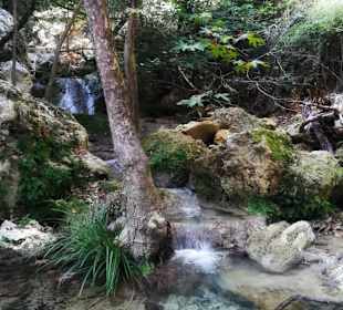 Bachlauf in der Schlucht