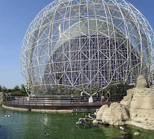 Aquarium / Oceanongrafic