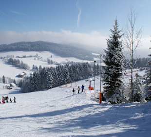 Familienschiberg St. Jakob im Walde