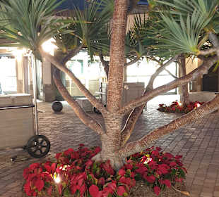 Strandpromenade Meloneras