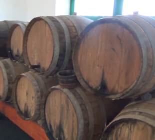 Casa Museo del Campesino