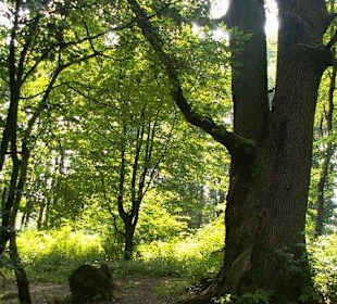 Stare, zabytkowe macewy