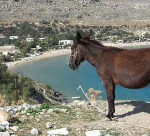 Blick zur Badebucht von Lindos