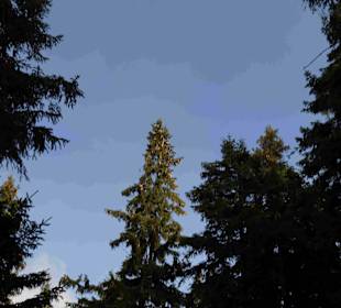 Riesengebirge/Karkonosze