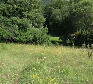 Naturerlebnispfad Sternberg