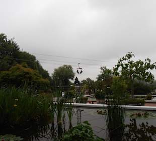 Rosenfest im Westfalenpark in Dortmund