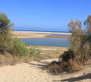 Blick in das Naturschutzgebiet