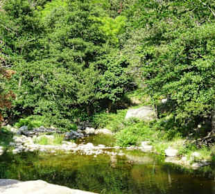 Impressionen von einer Wanderung an der Massane