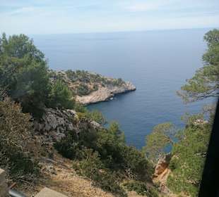 Ausblick