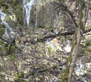 Wasserfallsteig