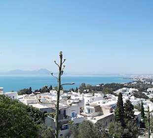 Blick über Sidi Bou Said